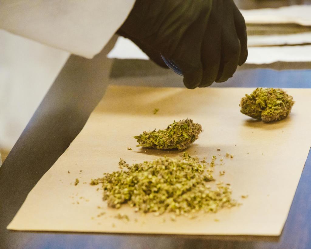 CBD Vs. CBG Vs. CBN: What’s Going on With All These Cannabinoids?
