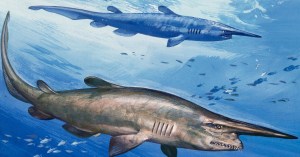 the-7-weirdest-sharks-lurking-in-the-deep-sea-right-now